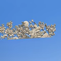 Intricate Exquisite Carving Artwork With Flowers Moon Bird And Branches