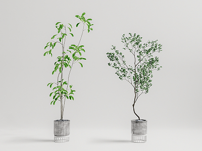 Modern potted plant potted landscape tree 3d model