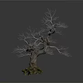Leafless Tree With Twisted Trunk And Exposed Roots On White Background 3d model