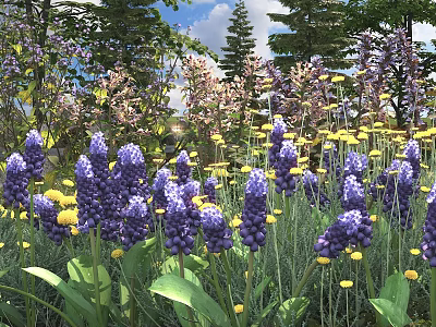 Vibrant Purple Flowers With Yellow Blooms And Green Leaves In Garden Under Blue Sky 3d model