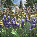 Vibrant Purple Flowers With Yellow Blooms And Green Leaves In Garden Under Blue Sky