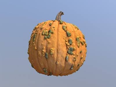 Pumpkin Old Pumpkin Vegetables 3d model