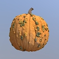 Pumpkin Old Pumpkin Vegetables 3d model