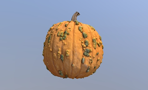 Pumpkin Old Pumpkin Vegetables 3d model