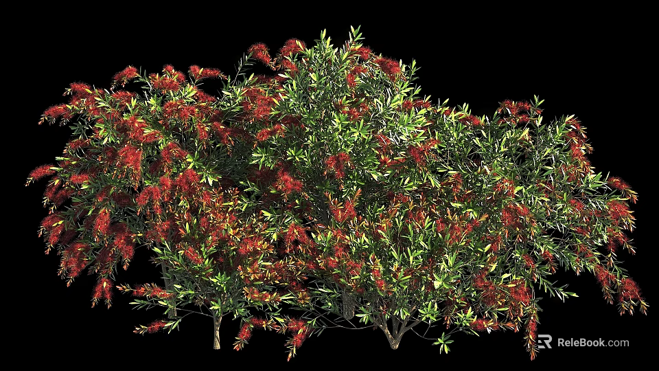 Lush Green Leaf Shrub With Vibrant Red Flowers In Full Bloom 3d model 