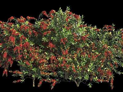 Lush Green Leaf Shrub With Vibrant Red Flowers In Full Bloom 3d model