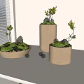 Modern Decorative Bonsai Planters On White Table With Window Blinds Various Shapes Green Foliage