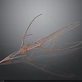 Pink Pterosaur 3D Wireframe Model With Elongated Wings And Dark Background