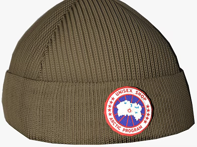 Brown Knit Hat With UNISEX STORE ARCTIC PROGRAM Earth Graphic And Stars 3d model