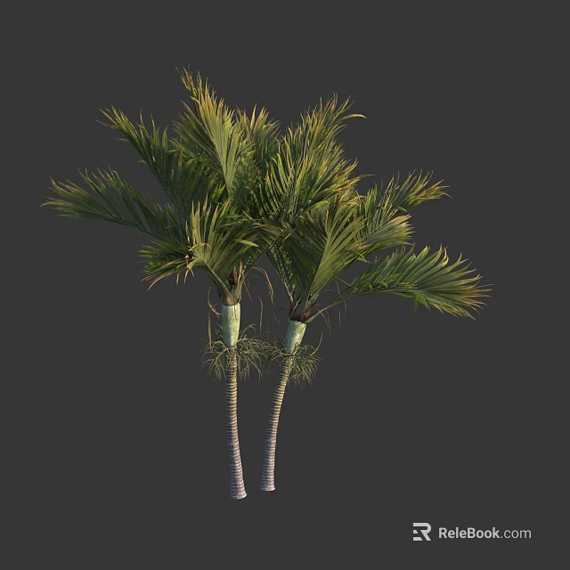 Twin Palm Trees With Green Fronds And White Trunks Isolated On Dark Background 3d model 