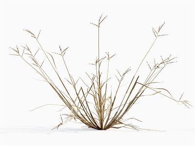 modern grass withered grass model