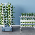 Commercial Vertical Farming Equipment With Multi Tier Racks And Wheeled Design For Growing Plants