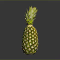 Fresh Ripe Juicy Pineapple with Green Leafy Top and Golden Yellow Skin