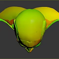 3D Human Head and Neck Muscle Anatomy Model Showing Detailed Anatomical Structure