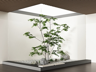 Modern Plants and Green Plants Courtyard Sits model