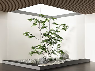 Modern Plants and Green Plants Courtyard Sits 3d model