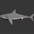 White Shark With Red Markings 3D Render On Dark Gradient Background