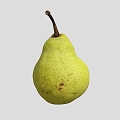 Pear 3 Scan Pear Fruit Fragrant Pear 3d model