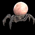 3D Spider Model With Pink Spherical Abdomen And Black Body Long Legs On Black Background
