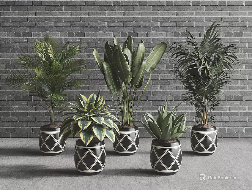 Various Green Potted Plants in Black and White Geometric Patterned Pots Against Gray Brick Wall 3d model 