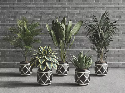 Various Green Potted Plants in Black and White Geometric Patterned Pots Against Gray Brick Wall 3d model