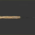 Decorative Knife With Golden Handle Intricate Carvings And Dark Blade On Reflective Surface