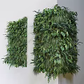 Indoor Green Plant Wall With Lush Foliage And Various Plant Species
