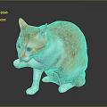 Orange and white cat sitting on shiny surface licking its paw in gray background
