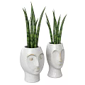 Two White Ceramic Face Shaped Vases With Green Striped Indoor Plants