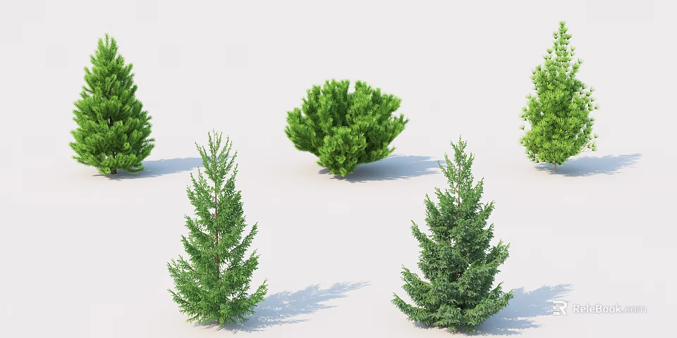 Different Types of Green Evergreen Trees With Foliage for Garden Landscaping 3d model 