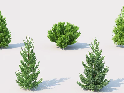 Different Types of Green Evergreen Trees With Foliage for Garden Landscaping 3d model