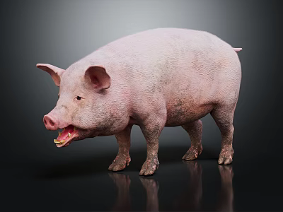 Full Body Pink Pig Standing On Dark Background With Reflective Surface 3d model