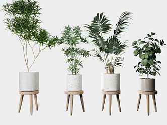 Modern Potted Plant 3d model