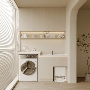 Balcony Laundry Cabinet 3d model