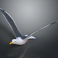 Seagull Flying With Spread Wings White Gray Feathers Yellow Beak On Dark Background