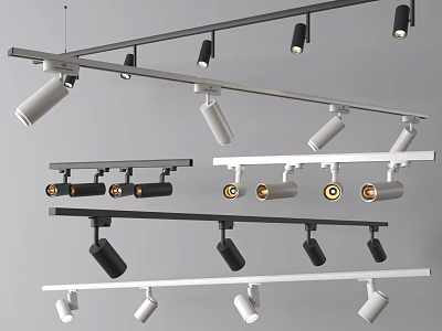 Modern Track Mounted Downlights And Spotlights In Black And White Finishes 3d model