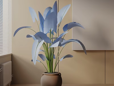 Indoor Potted Plant With Blue Leaves In Brown Ceramic Pot And Light Beige Wall 3d model