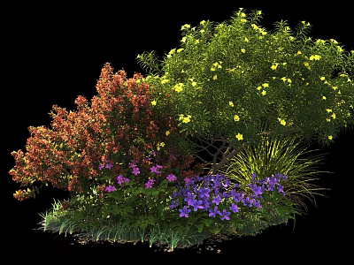 Colorful Garden Shrubs With Red Green Foliage Yellow Flowers And Purple Blooms 3d model