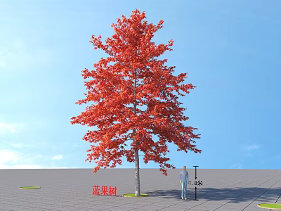 Tall Nyssa Tree With Red Leaves Standing 15 Meters Tall Outdoor With Human Figure 3d model