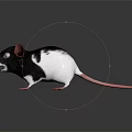 3D Rat Character And Creature Design With Large Ears Pink Nose And Rendered Details