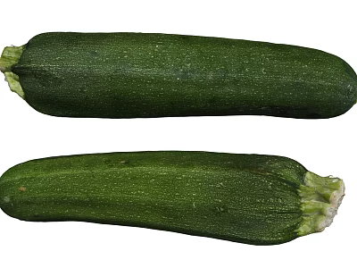 Fresh Green Zucchini Vegetables Ready for Healthy Cooking or Salad 3d model