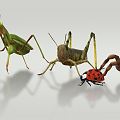 Modern mantis insect grasshopper mantis 3d model