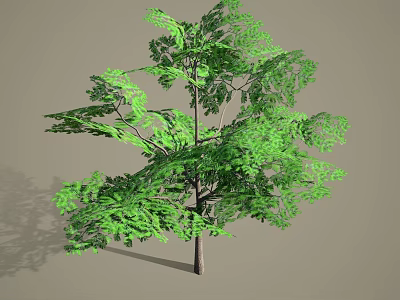 Lush Green Arbor With Dense Foliage And Brown Trunk Isolated On Gray Background 3d model