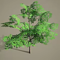 Lush Green Arbor With Dense Foliage And Brown Trunk Isolated On Gray Background