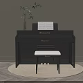 Black Piano With Sheet Music And Potted Plant On Round Rug In Modern Interior Room