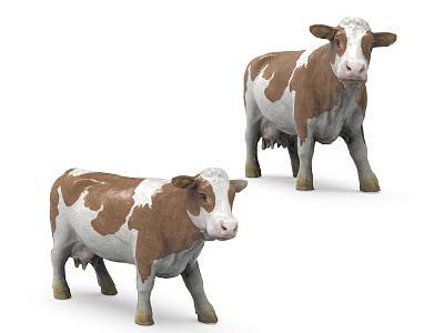 Two Brown And White Reptiles Standing On Plain White Background 3d model