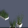 Green Indoor Plants with Various Colored and Different Shaped Planters for Home Decor