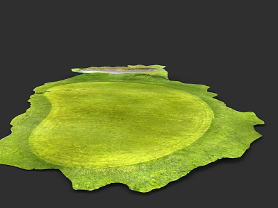 Ideal Sports Equipment For Golf Practice With Green Turf Round Putting Green 3d model