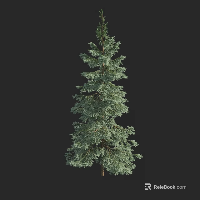 Tall Evergreen Arbor With Lush Green Foliage And Straight Trunk 3d model 