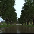 Municipal Road Lined With Tall Trees Green Lawns And Surrounding Buildings